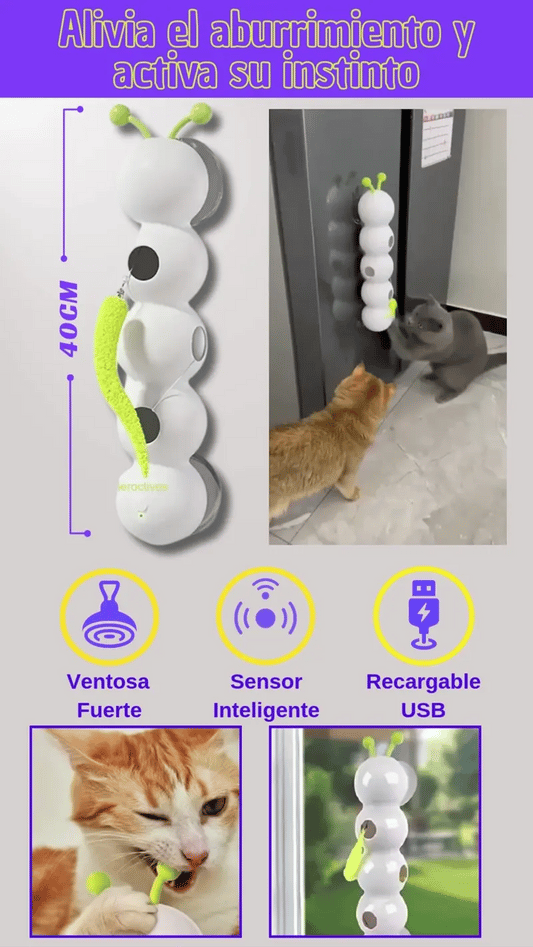 Oruga Juguete Inteligente Para Gato