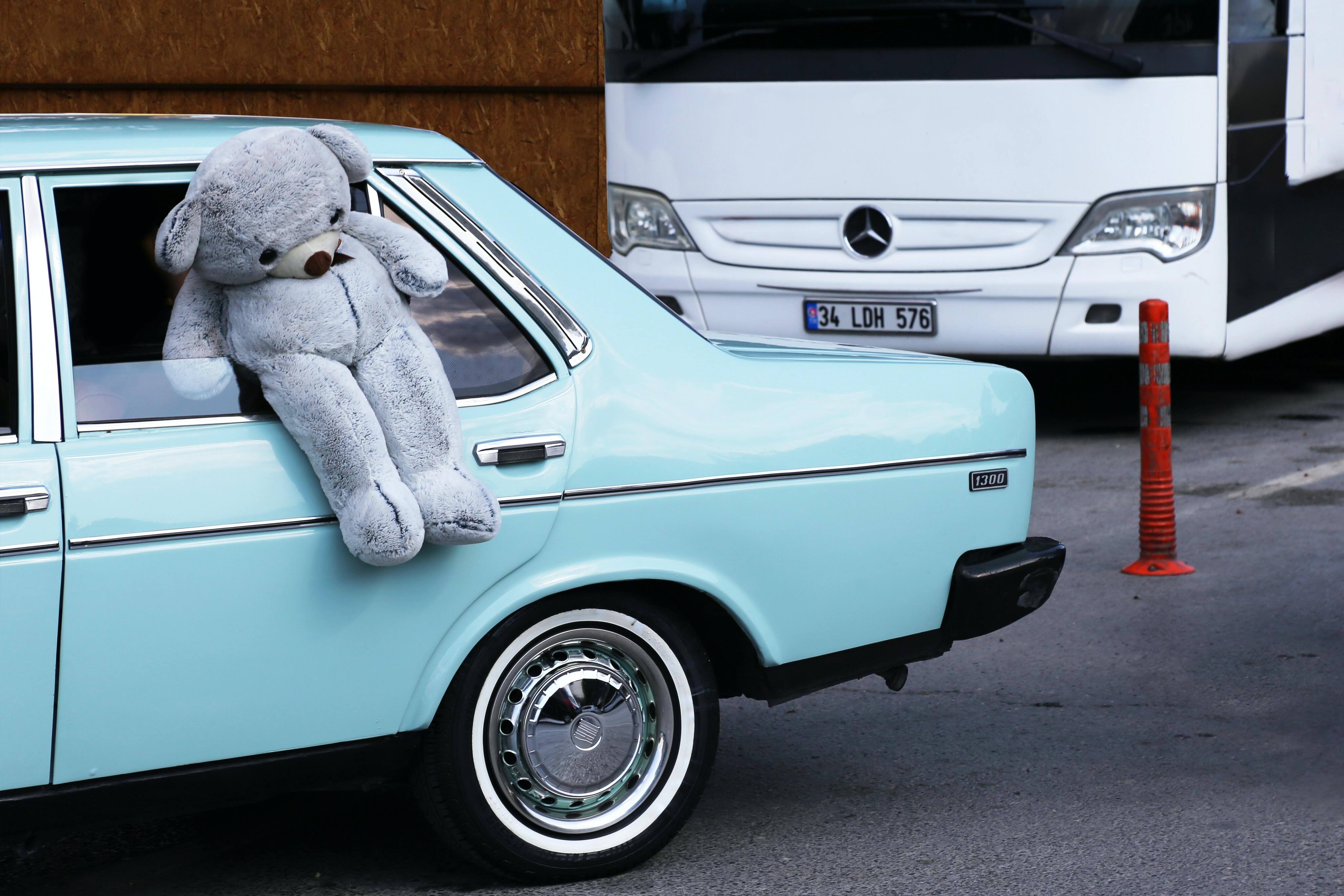 files/large-teddy-bear-stuck-in-a-cars-open-window.jpg